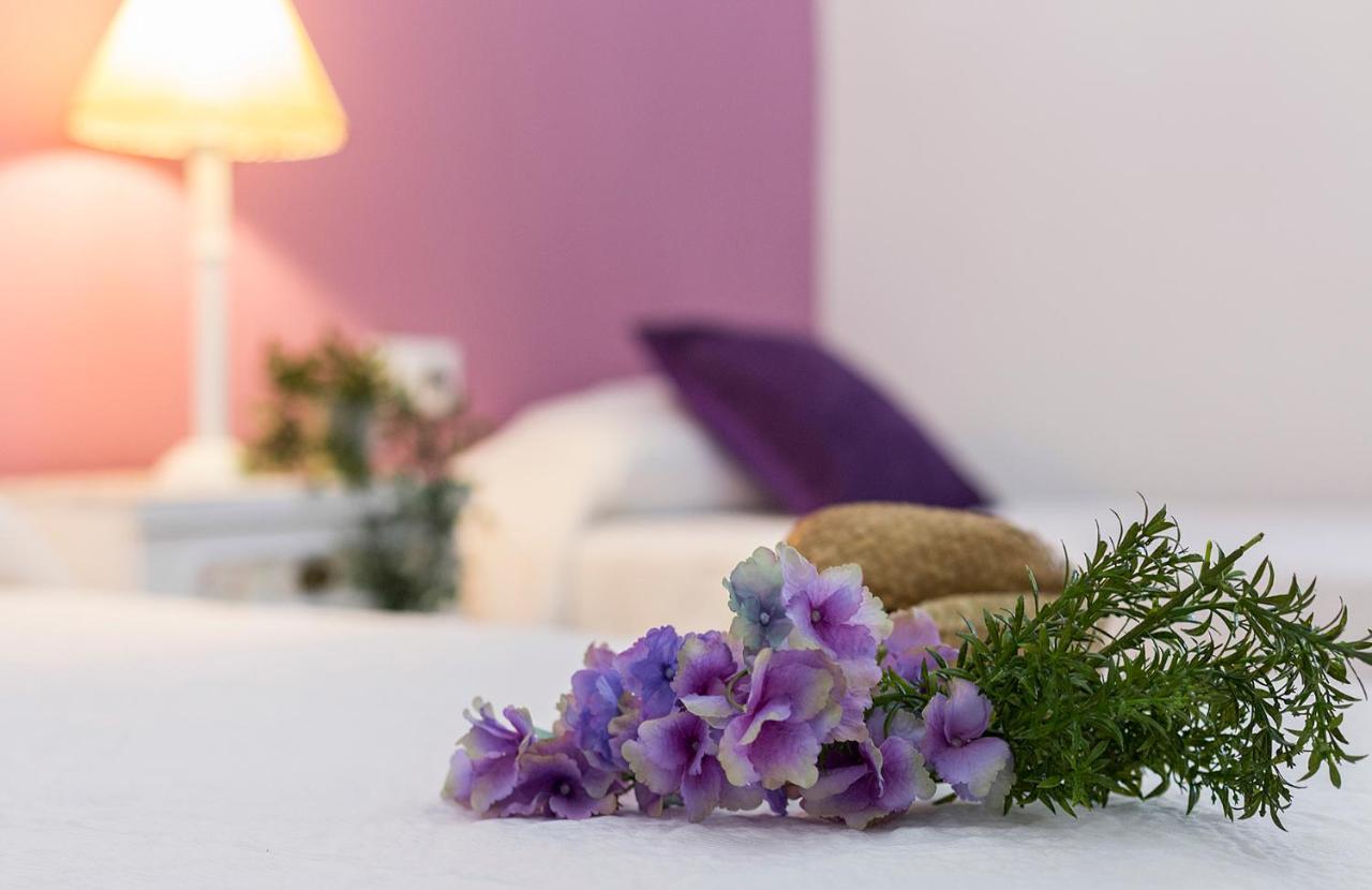 Muralla 3 Rooms Luminoso Parking Jerez de la Frontera Ngoại thất bức ảnh